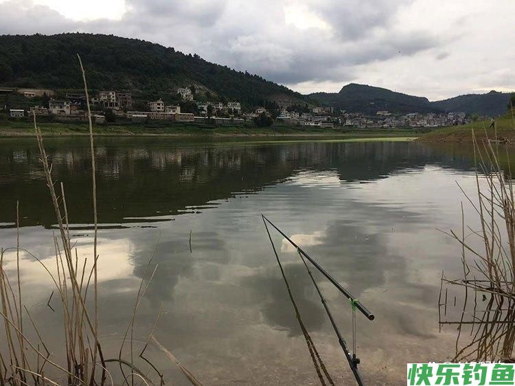 夏季河湖水库野钓鲫鲤草鱼技巧方法，饵料窝料配方，铅坠浮漂选择(图1)