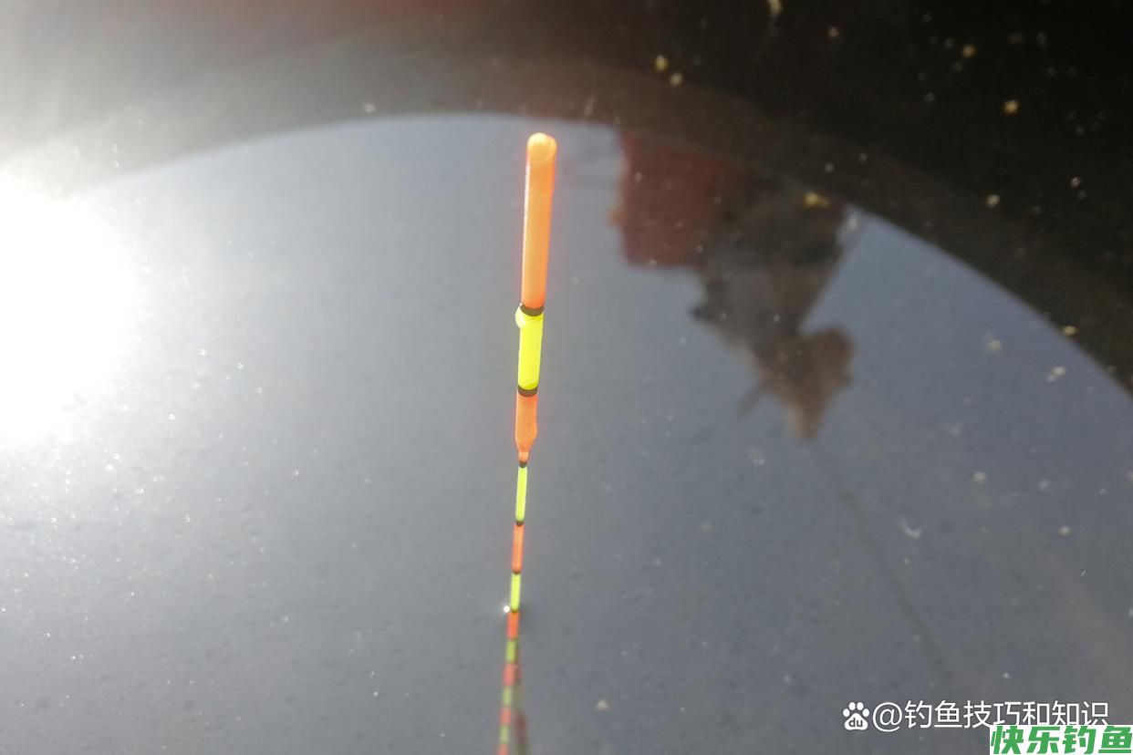 钓灵好还是钓钝好？钓灵和钓钝的5句口诀，野钓和黑坑都适用(图4)
