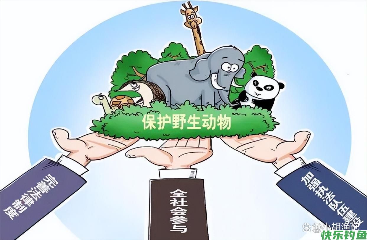不给就抢！湖北男子野钓被黄鼠狼打劫，男子：来就来，还带着老婆(图10)