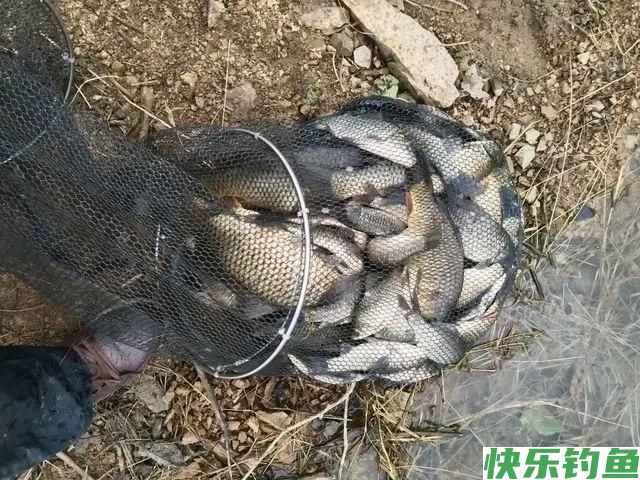 和早春相比,晚春野钓会出现这五种特殊变化,不改变很难爆护(图1) 和早春相比,晚春野钓会出现这五种特殊变化,不改变很难爆护(图1)