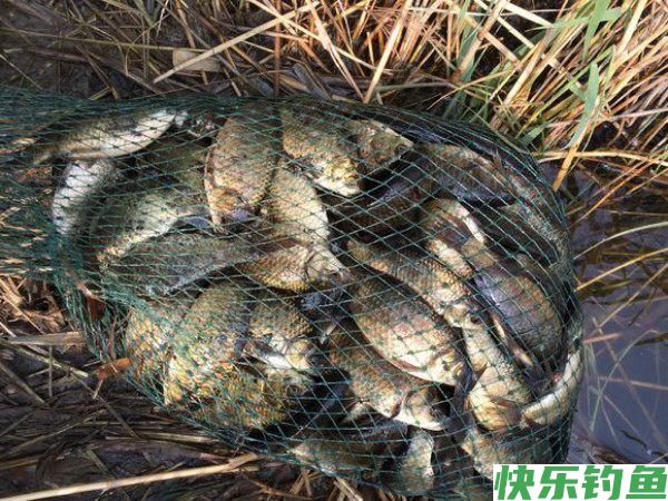 和早春相比,晚春野钓会出现这五种特殊变化,不改变很难爆护(图5) 和早春相比,晚春野钓会出现这五种特殊变化,不改变很难爆护(图5)