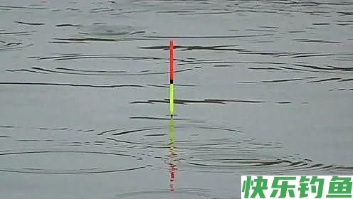 野钓如何选择一支合适的浮漂？明确这三点，加粗目也能调灵敏！(图4)