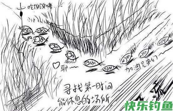 为什么别人野钓爆护而你总是空手而归？因为他们有“寻位秘籍”(图3)