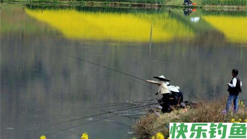 春季野钓的5个思路，搞清楚你就是钓鱼大师，春季钓鲫鱼连杆爆护(图1)