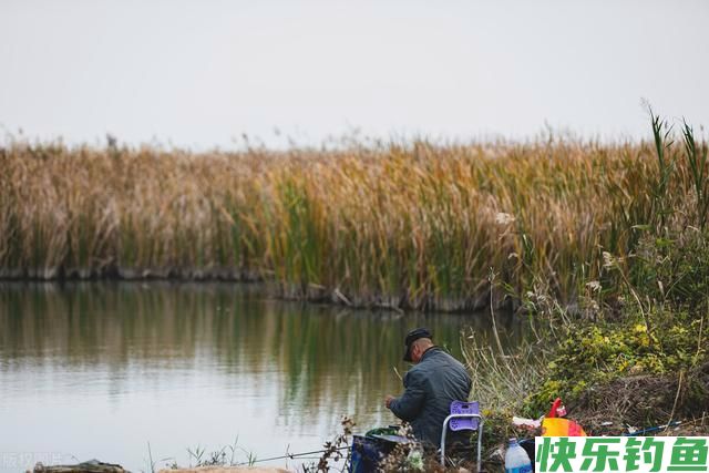 新野钓不一样的玩法，不一样体验，一样的是江湖(图1)