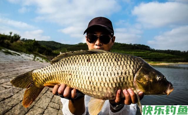 野钓高手钓鱼的5个诀窍，经常满载而归，学会了你也能行(图3)