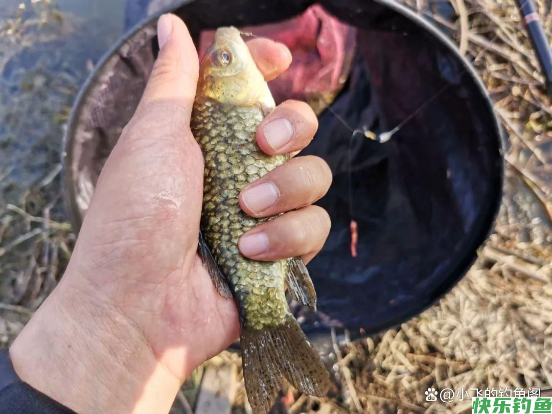只钓2小时就能顶别人半天的鱼获！野钓务必选对合适的出钓时间(图1)
