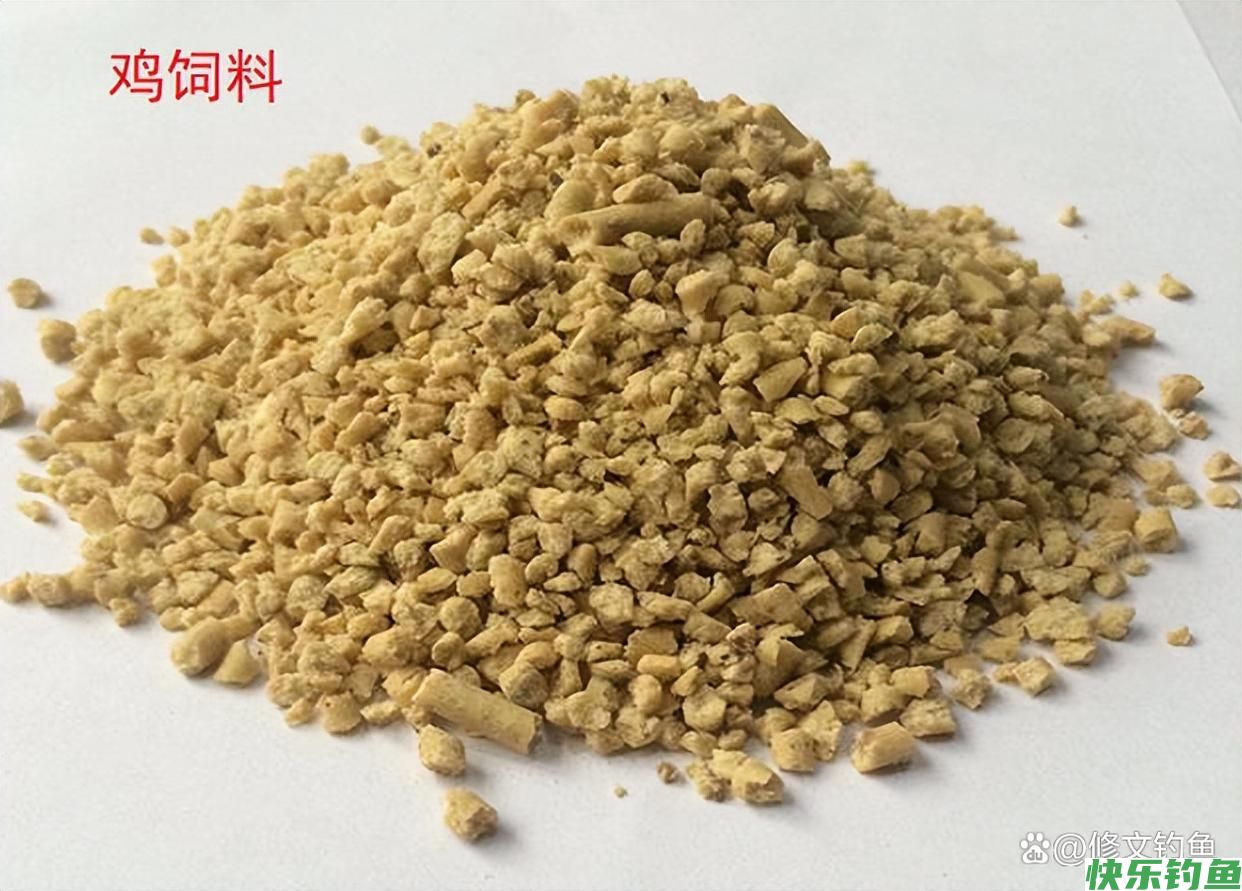 纯干货：盘点十大野钓实用小妙招，看看有没有你用过的？(图9)