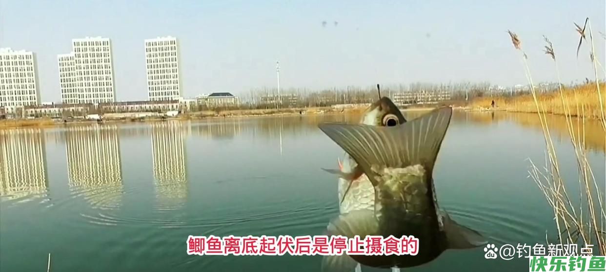 春季如何野钓鲫鱼，老钓鱼人的应对方法值得参考
