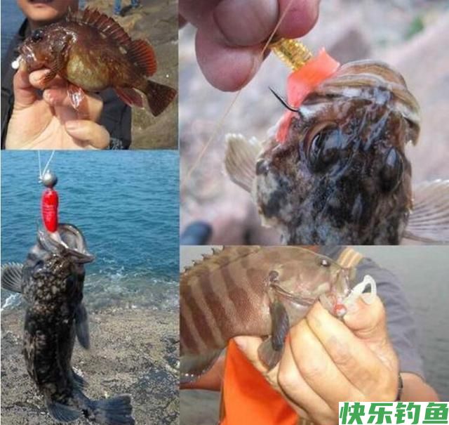 拖曳钓你会吗？野钓客教你！(图2)