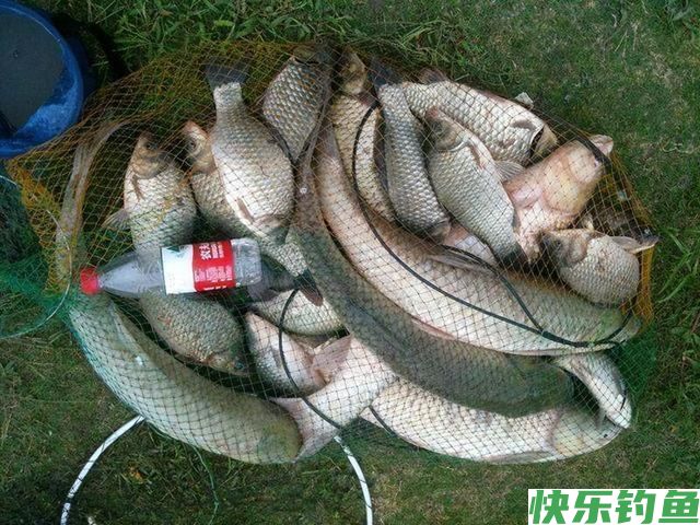 拖曳钓你会吗？野钓客教你！(图6)