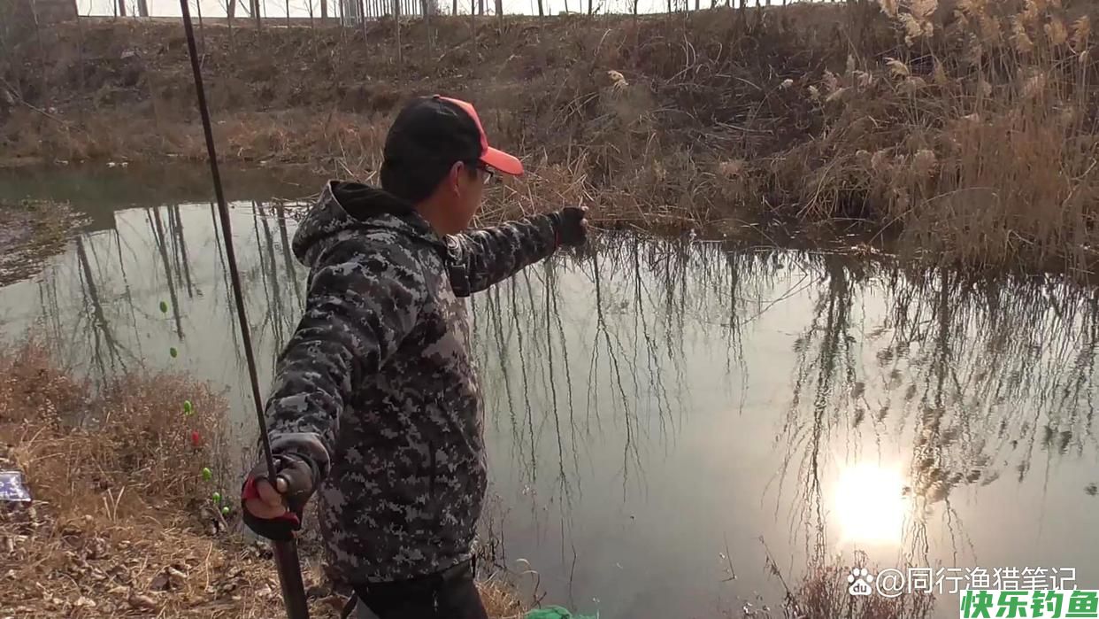 决战黑坑或者野钓称王绝招，点上它，诱鱼效果拔群