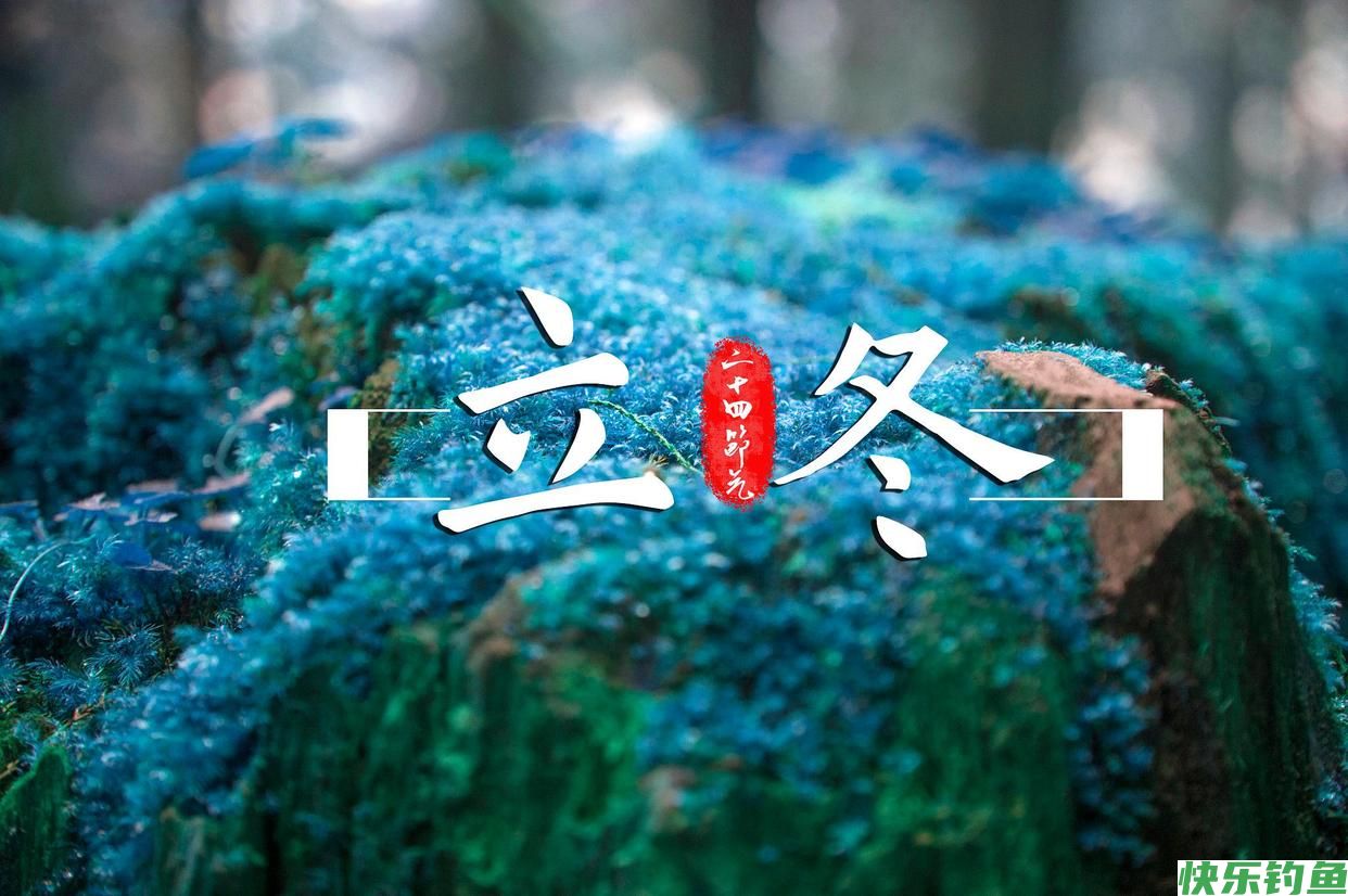 立冬后野钓，钓点应该选这些，都是鱼儿扎堆的地方(图1)