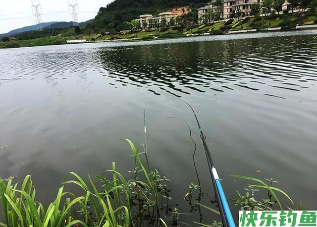 教你5个野钓时不打窝又能多钓鱼的技巧，用过的钓友都说真过瘾！(图5)