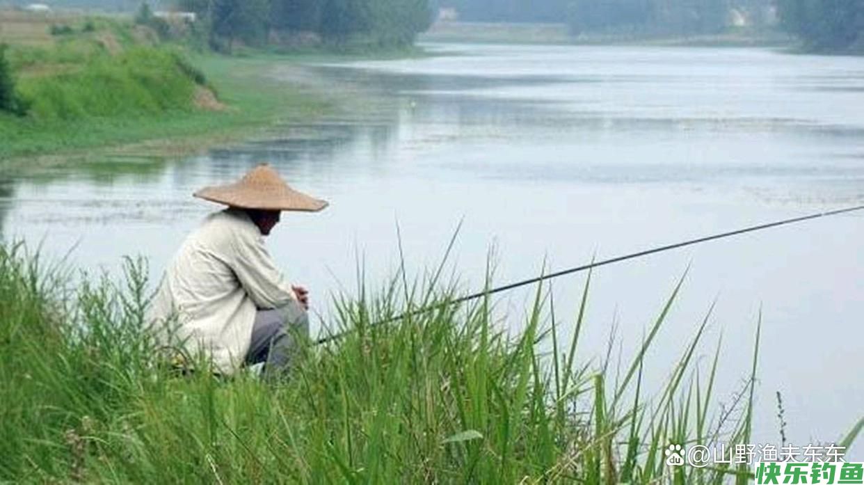 秋天野钓如何判断鱼情？牢记五点，连竿上鱼不是梦(图2)
