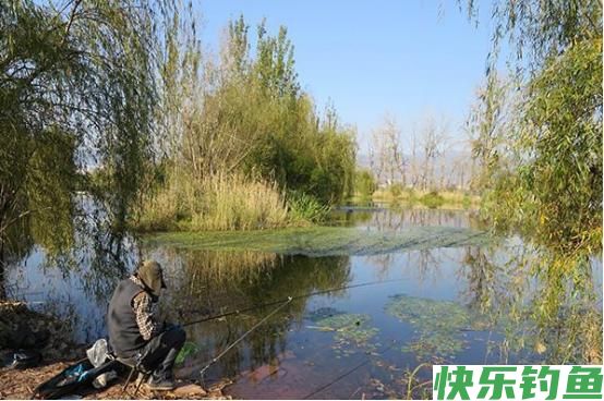 夏季野钓,要抢这几处钓点,下钩就有鱼,连竿到手软,妥妥爆护(图2) 夏季野钓,要抢这几处钓点,下钩就有鱼,连竿到手软,妥妥爆护(图2)