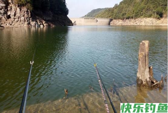 夏季野钓,要抢这几处钓点,下钩就有鱼,连竿到手软,妥妥爆护(图6) 夏季野钓,要抢这几处钓点,下钩就有鱼,连竿到手软,妥妥爆护(图6)