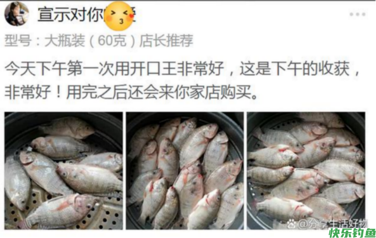 野钓经验之谈 野钓鲤鱼需注意 如何诱鱼是关键(图10)