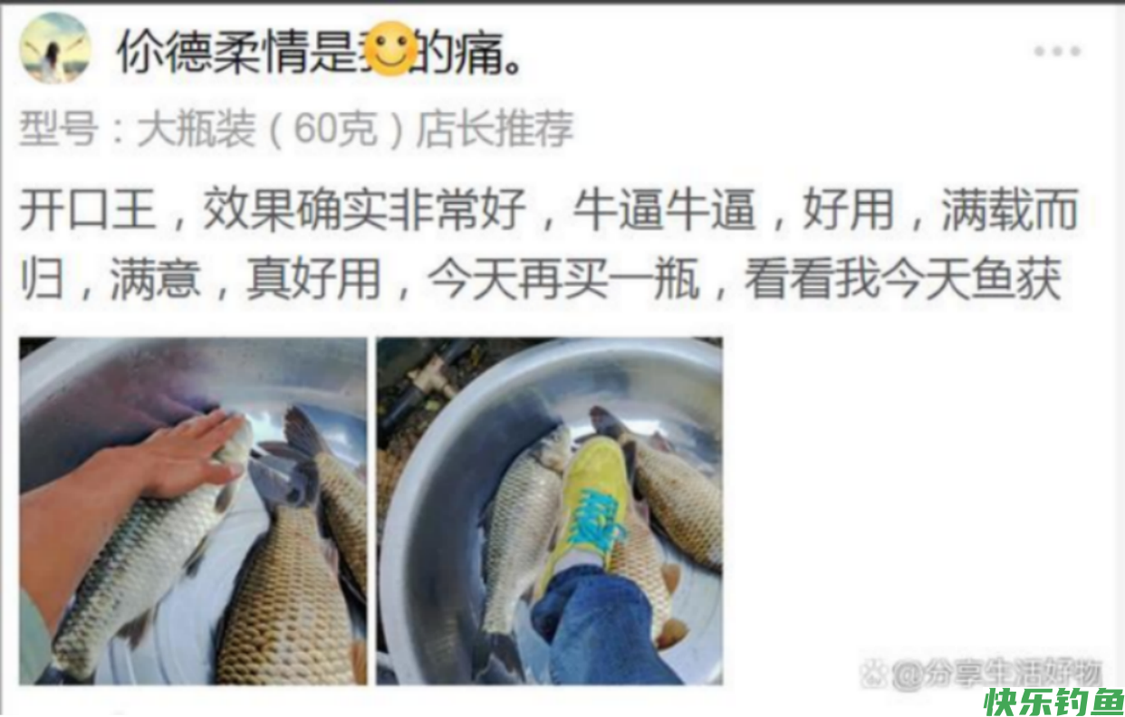 野钓经验之谈 野钓鲤鱼需注意 如何诱鱼是关键(图11)