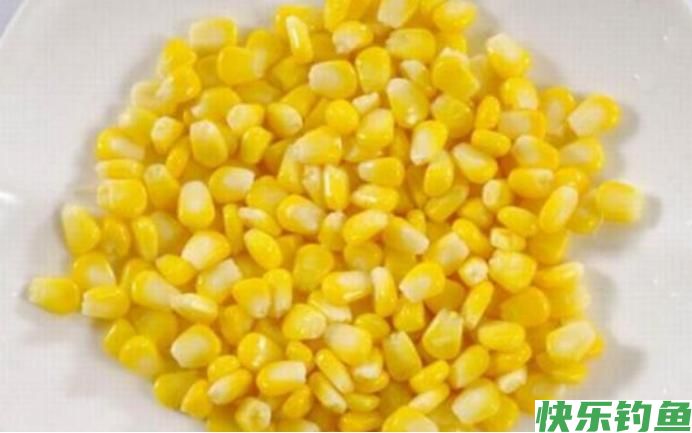 夏季野钓“细节”更重要，这几处细节没做对，有鱼你也钓不到！(图4)