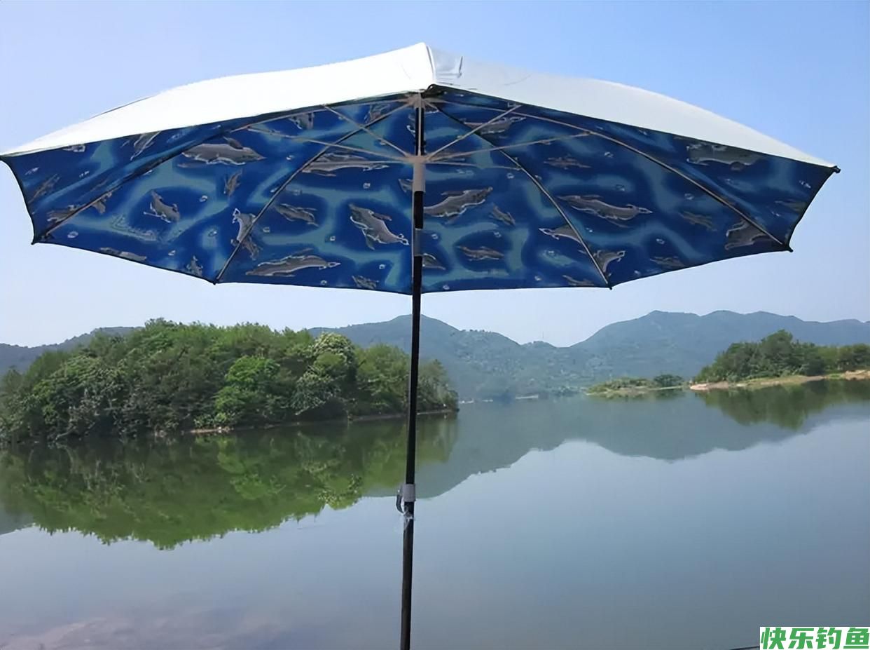 夏季野钓鲫鱼全攻略，打开3扇“黄金大门”，鲫鱼一条接一条(图1)