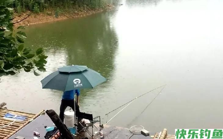 夏季野钓鲫鱼全攻略，打开3扇“黄金大门”，鲫鱼一条接一条(图4)
