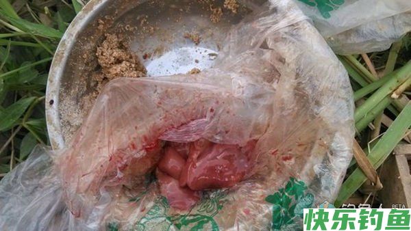 夏秋夜钓鲶鱼的经验之谈（钓法、钓饵、线组）(图2)