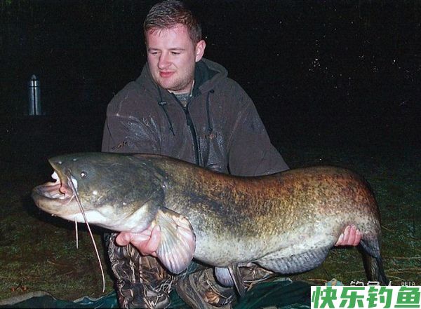 夜钓鲶鱼的饵料配制以及钓具钓法技巧分享(图1)