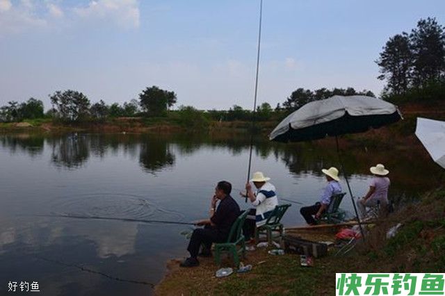 夏钓之鳊鱼的5个技巧(图1)