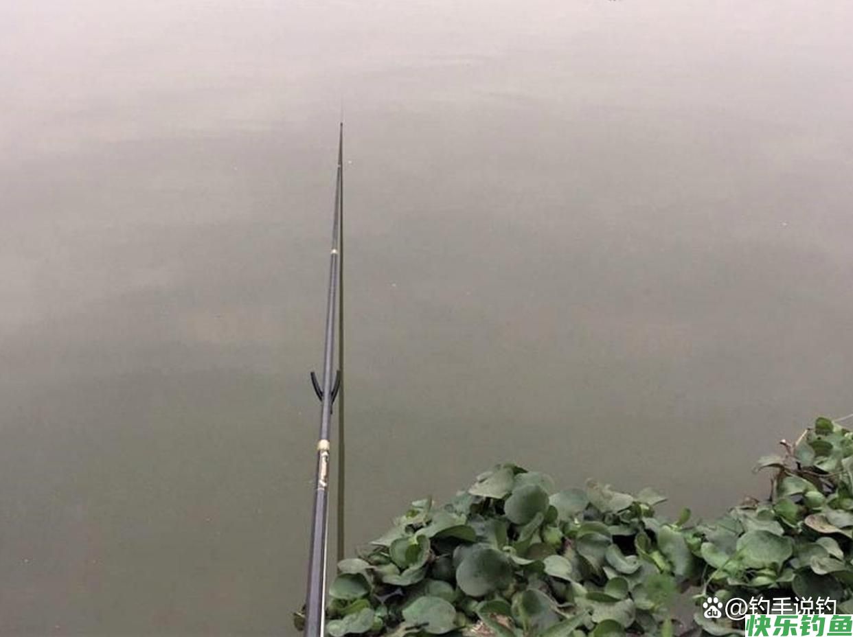 钓鱼怎样钓到鳊鱼？手竿钓翘嘴有什么技巧？(图4)