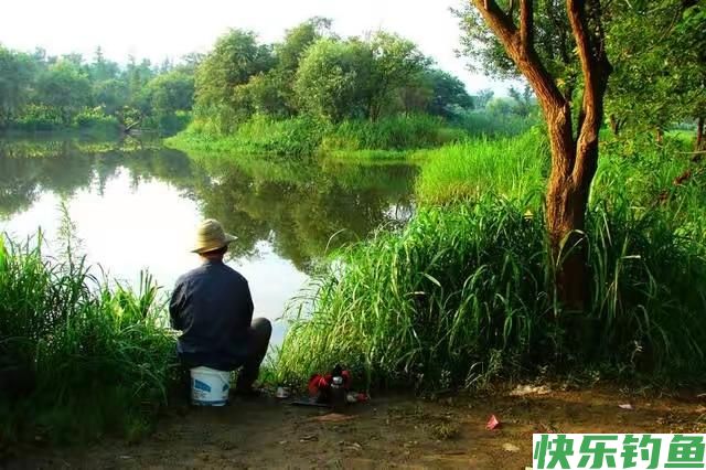 初夏钓鳊鱼的实用技巧,效果杠杠的!(图4) 初夏钓鳊鱼的实用技巧,效果杠杠的!(图4)