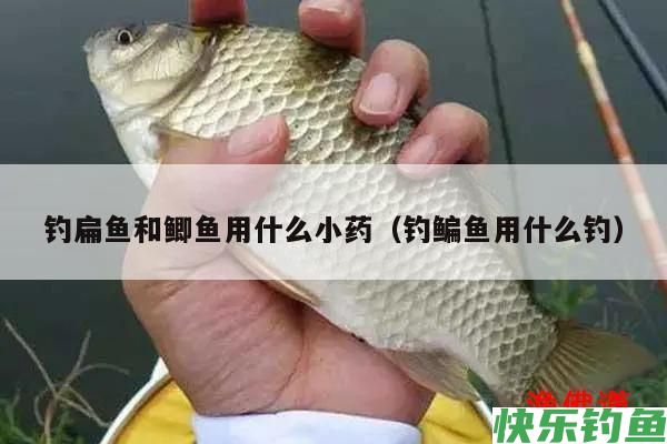 钓鳊鱼和鲫鱼用什么小药（钓鳊鱼用什么钓）(图1)