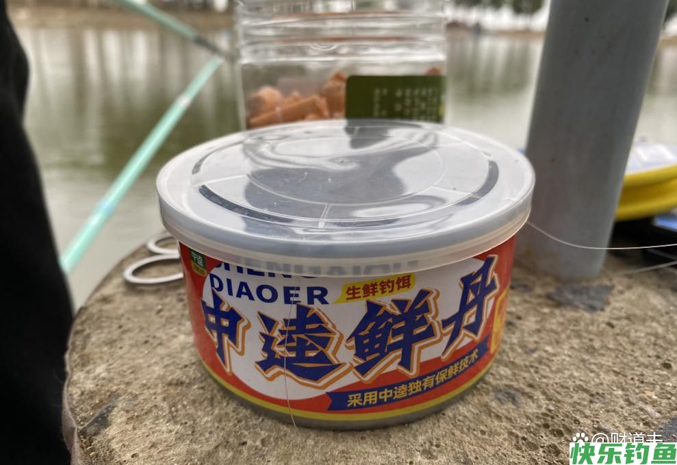 中逵鲜丹实战路滑，钓获鳊鱼、鲈鱼！(图2)