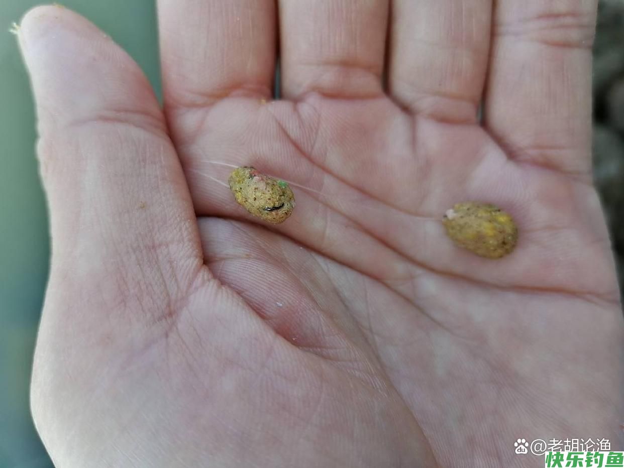 深秋钓鳊鱼，老钓手教你五个实战技巧，让你轻松爆护满载而归(图5)