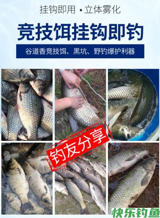春季钓鳊鱼的5个秘诀，掌握了以后，钓鳊鱼非常简单(图10)