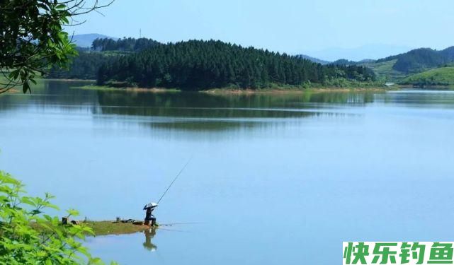 春季钓鳊鱼的5个秘诀，掌握了以后，钓鳊鱼非常简单