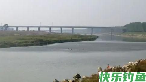 疯狂的钓鱼人！湖北一河道鳊鱼大爆发，有人天没亮就去占位置了(图3)