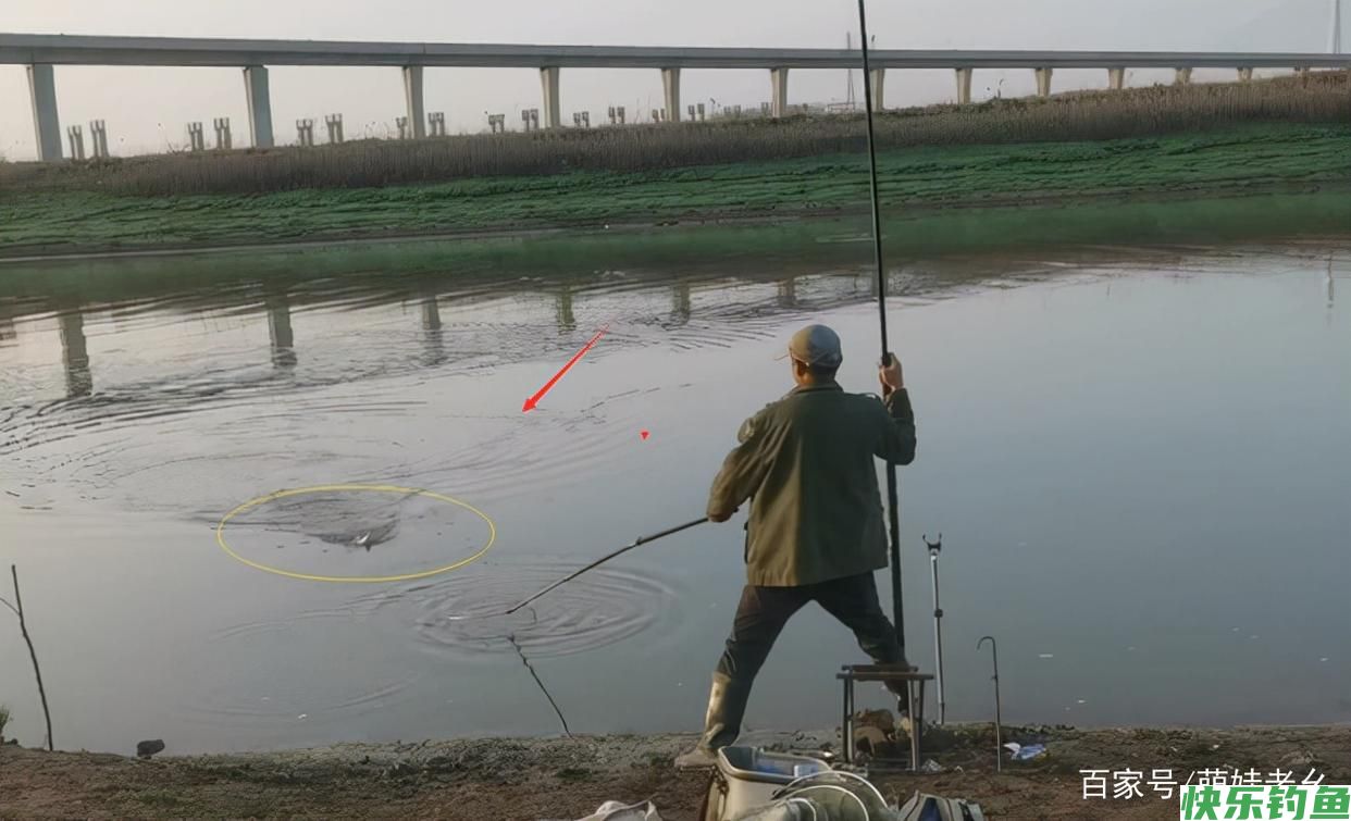 疯狂的钓鱼人！湖北一河道鳊鱼大爆发，有人天没亮就去占位置了(图5)