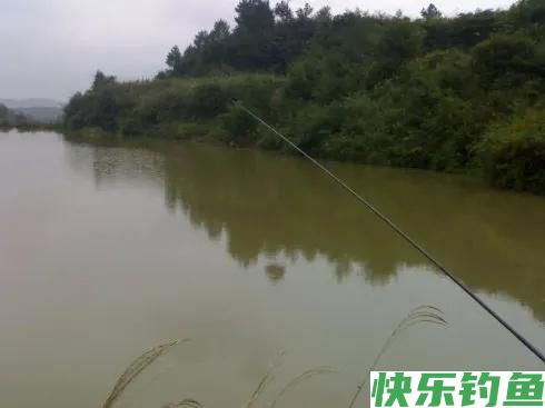 钓鳊鱼、草鱼，翘嘴，红尾翘，钓浅浮还是钓深浮？以什么为依据(图1)