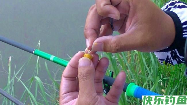 钓鳊鱼用什么饵料最好？（爆护配方）(图2)