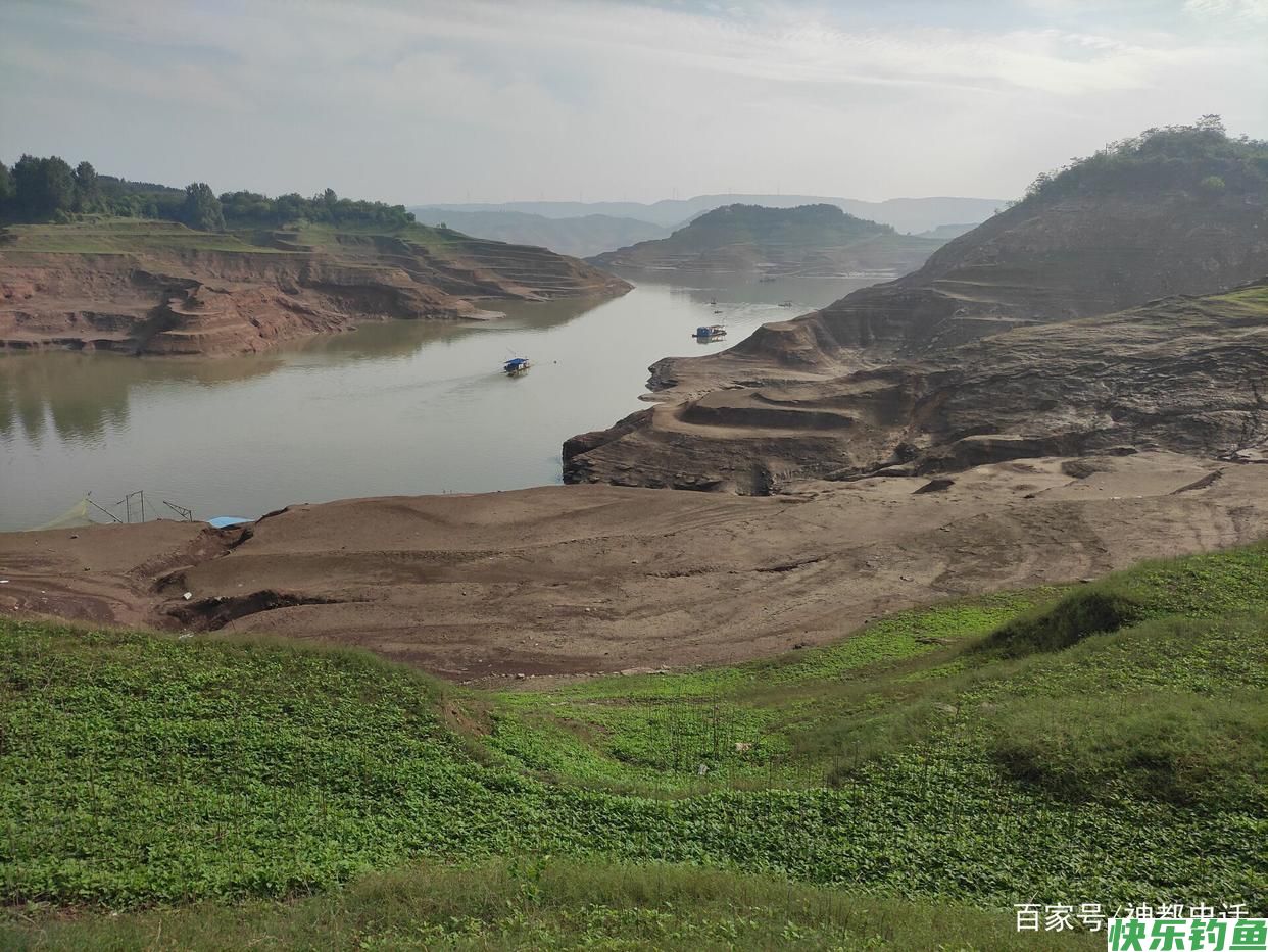 2021年汛期过后，探钓黄河小浪底黄鹿山，目标鳊鱼收获红眼鱼(图1)