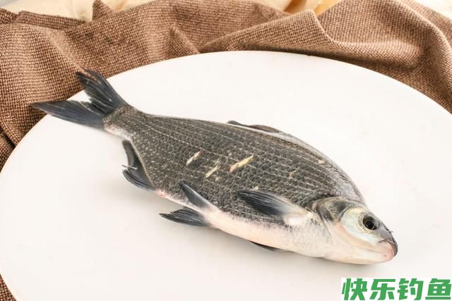 你钓到过武昌鱼吗？学会这三招，立秋之后更容易钓到武昌鱼！(图6)