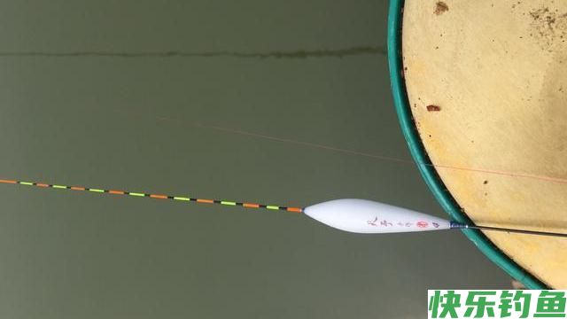 “小鳊鱼”鳑鲏很好钓？没有精准的调整改变，钓它十竿九空(图6)