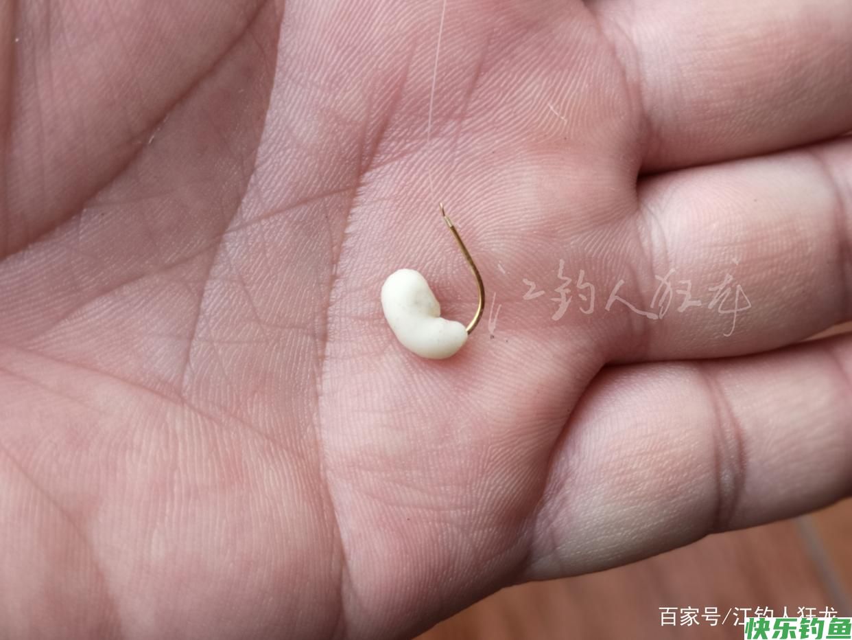 长江里钓鳊鱼，这6种都是常用饵，最后一种一般人接受不了(图7)