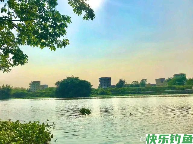 6月1日起，鳊鱼、马口、宽鳍鱲，在北京将被列入重点保护禁食鱼类(图5)