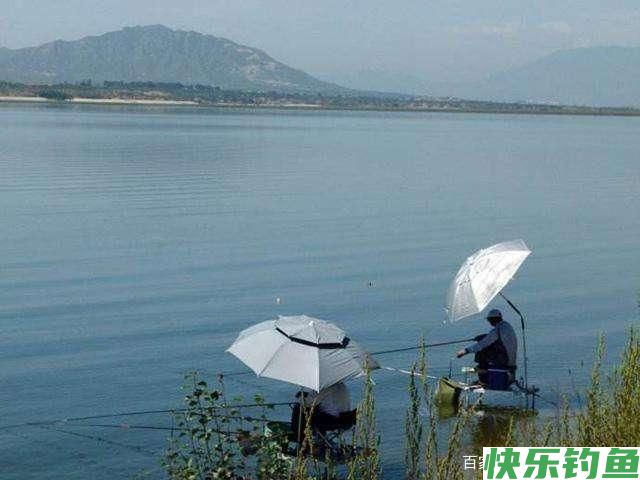 分析5个作钓技巧，让大水域野钓鳊鱼变简单(图5)