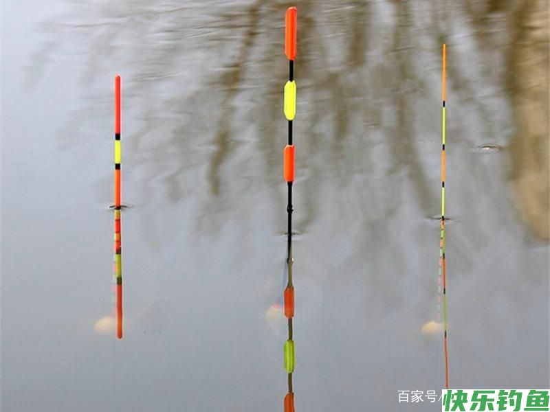 分析5个作钓技巧，让大水域野钓鳊鱼变简单(图10)