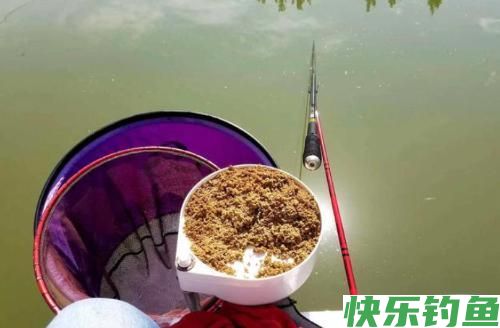 开启狂钓鳊鱼的快捷方式，渔获就能轻松打榜！(图1)