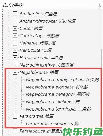 湖北名鱼武昌鱼，曾经一鱼难求，如今却被江苏省变成了家常菜(图7)