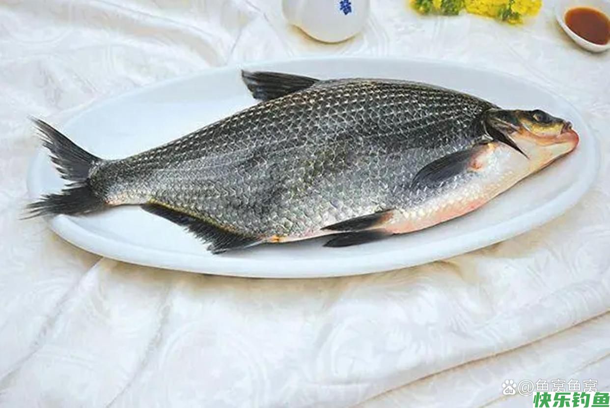 湖北名鱼武昌鱼，曾经一鱼难求，如今却被江苏省变成了家常菜(图15)